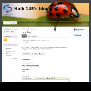 Дизайн сайта 137